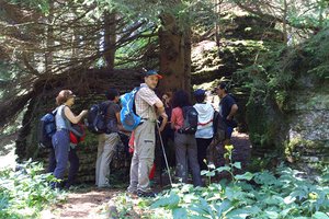 bosco roccia guidealtopiano w n1